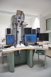 Transmissionselektronenmikroskopie (TEM) Elektronenmikroskopisches